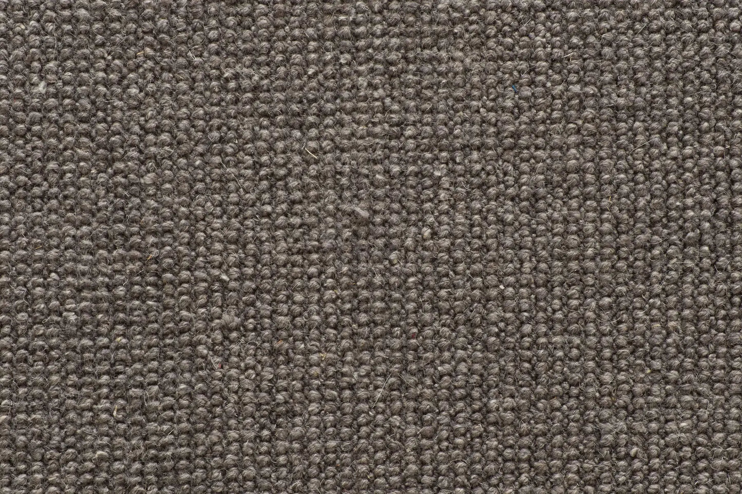 Brit carpet in Coast