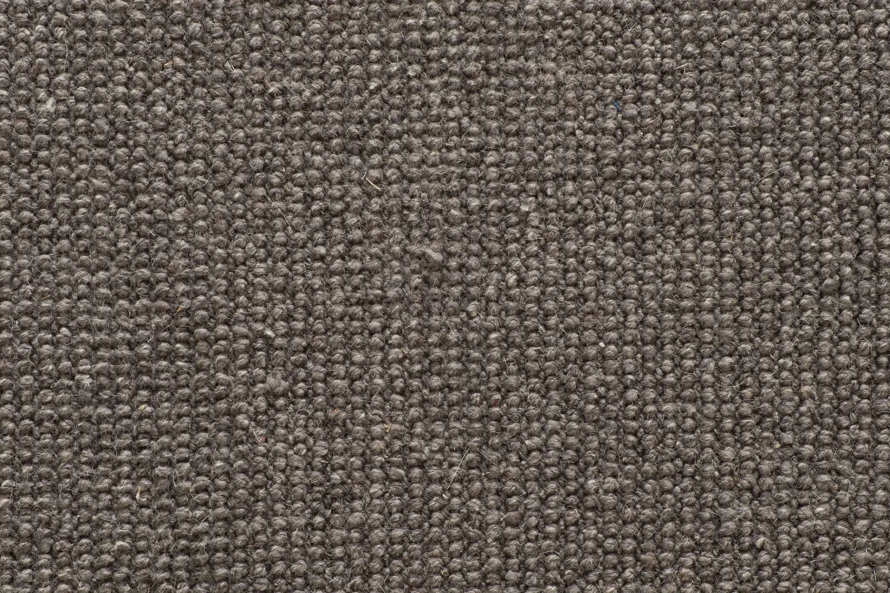 Brit carpet in Coast