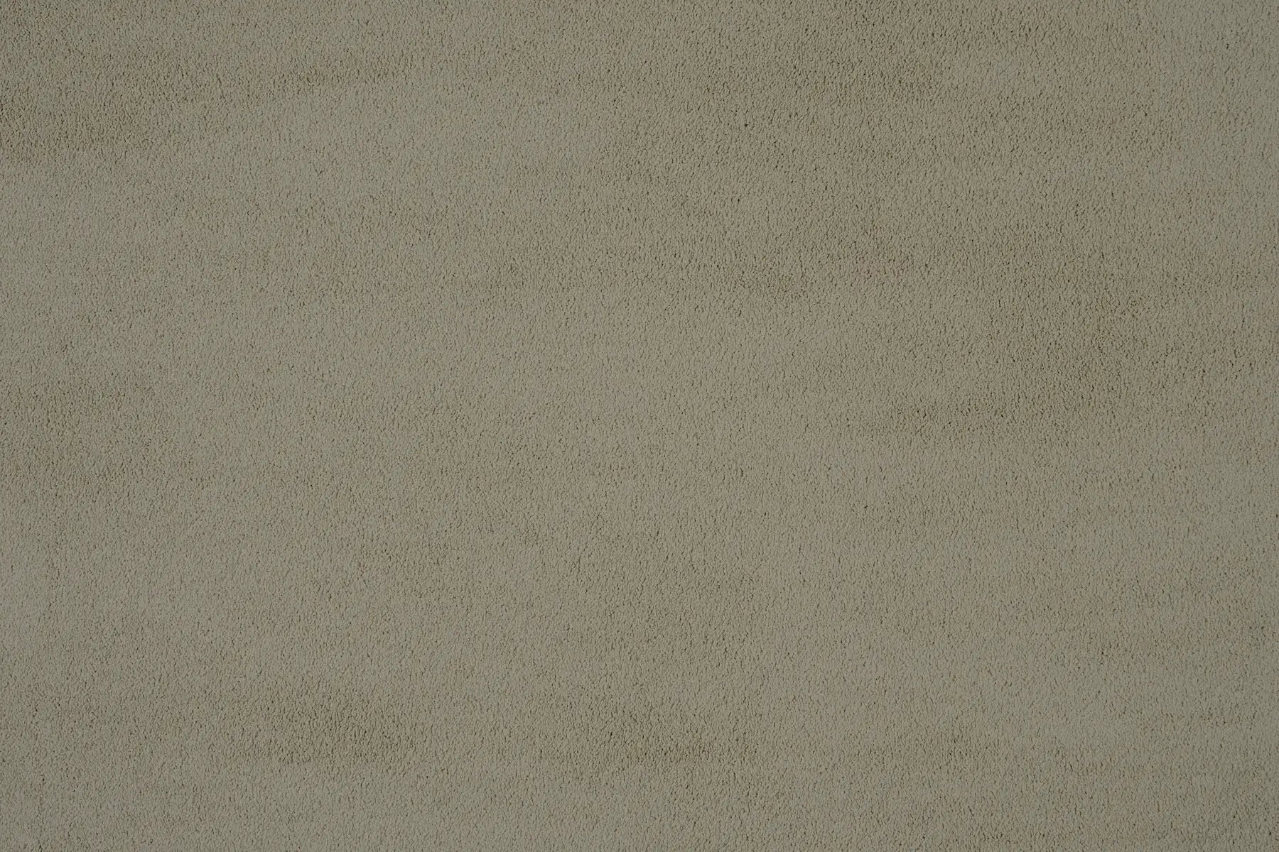 Sable carpet in Cocoa
