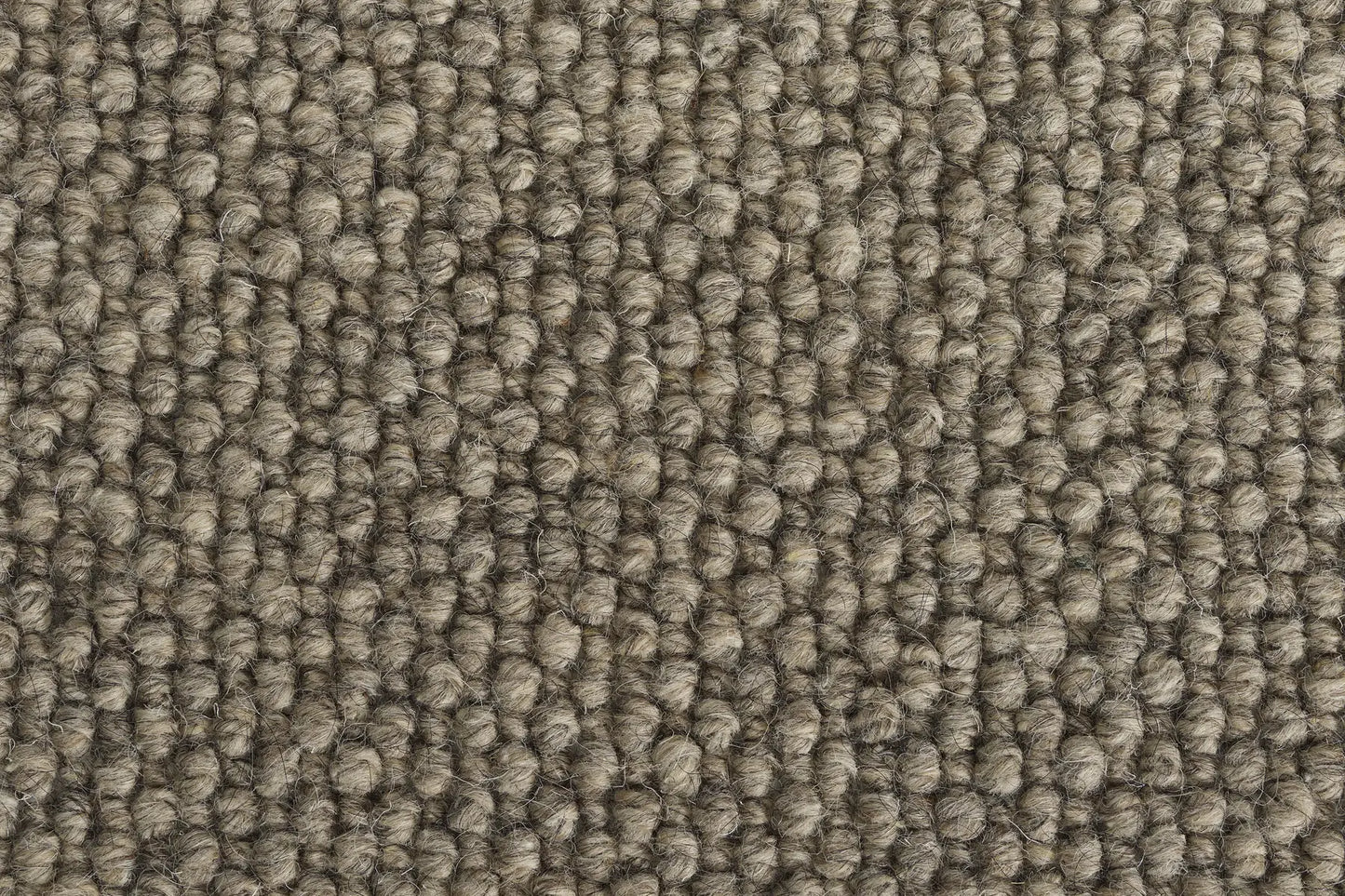 Beck carpet in Creek