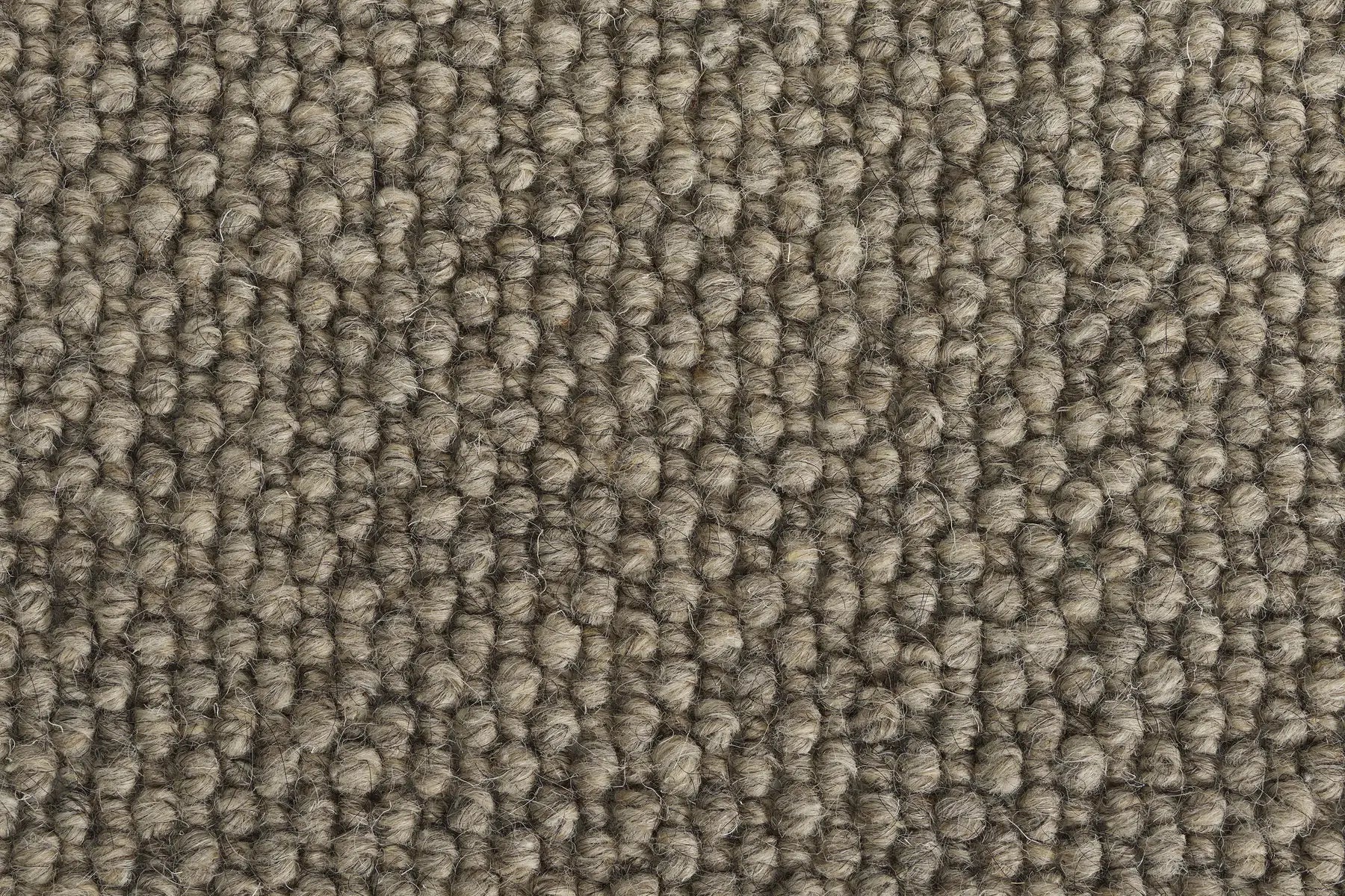 Beck carpet in Creek