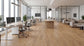 Robust Vinyl Plank 2mm - Retreat Blackbutt – room scene 2