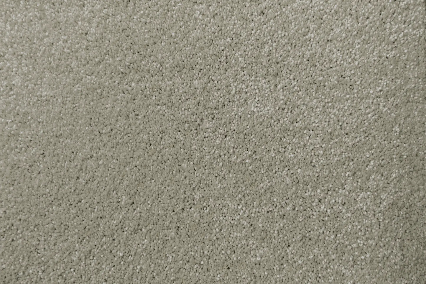 Lush carpet in Decadent