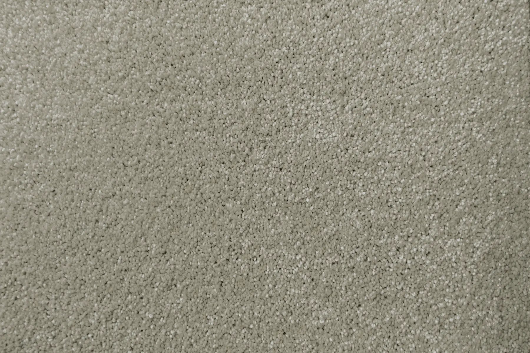 Lush carpet in Decadent