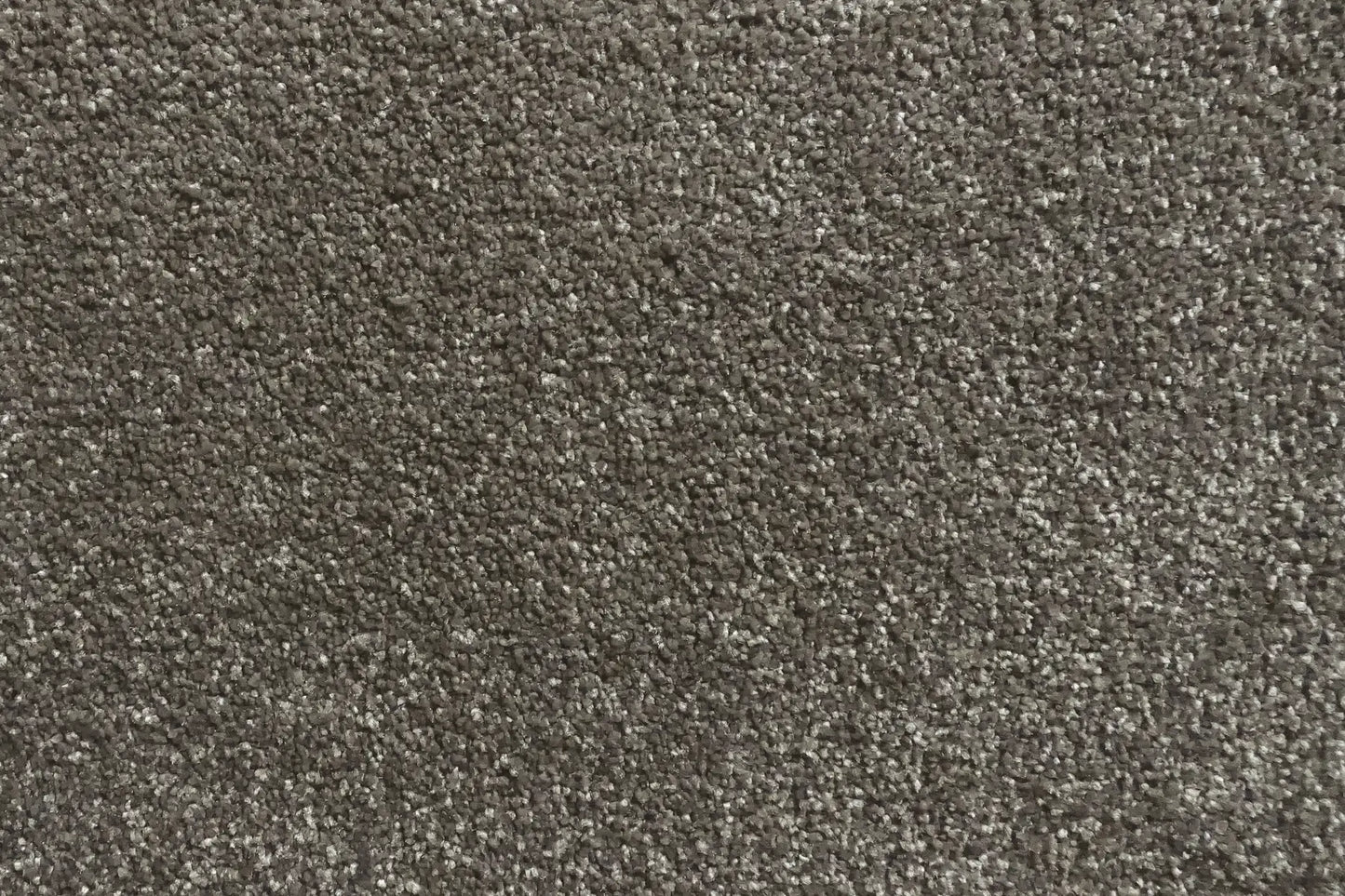 Charmeuse carpet in Deschamps