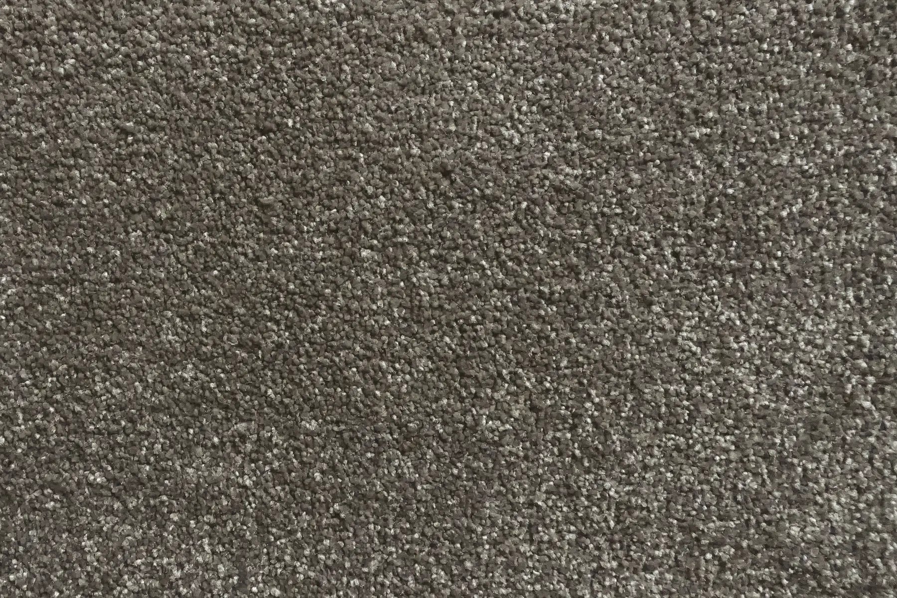Charmeuse carpet in Deschamps