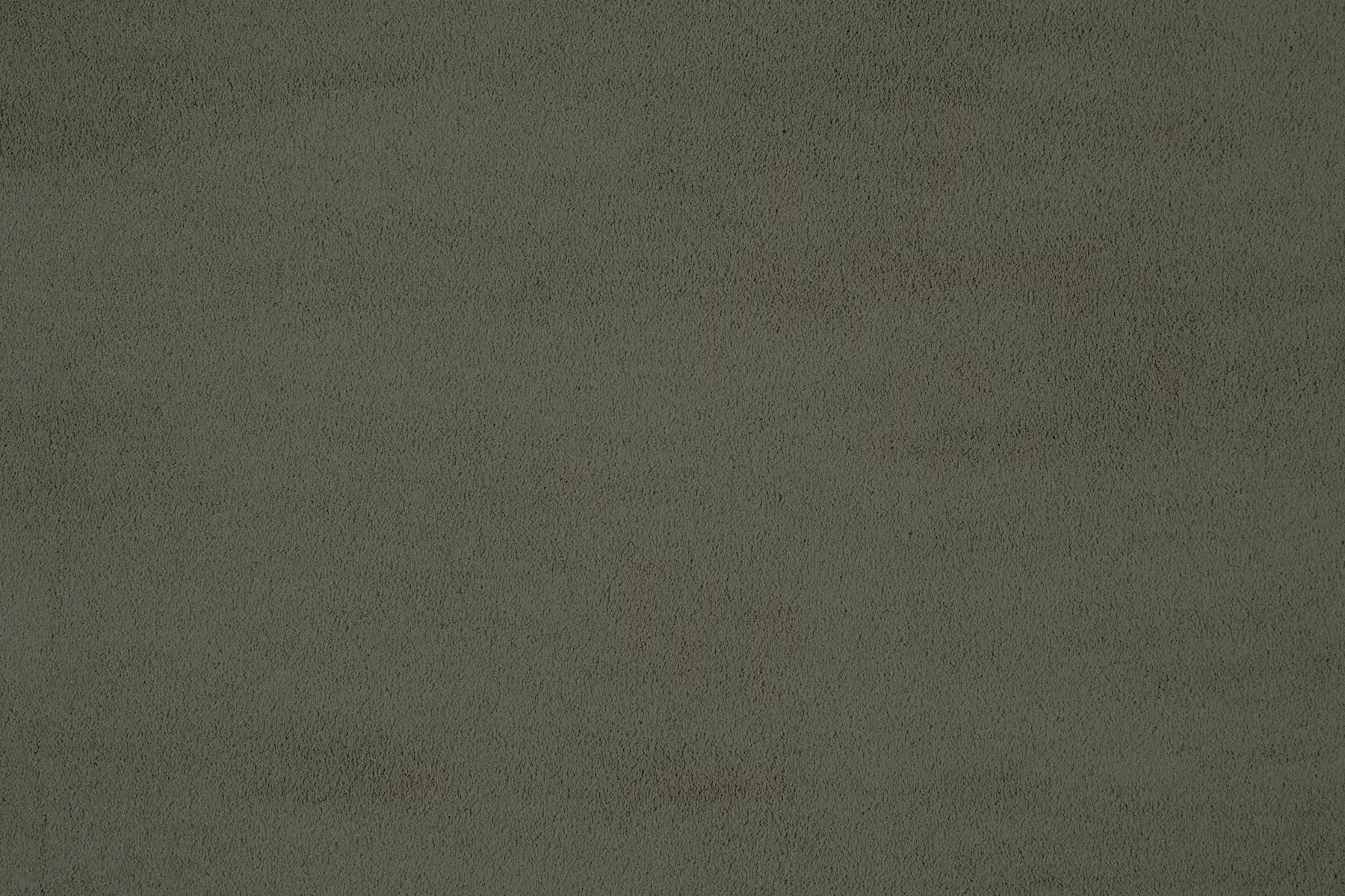 Tucana carpet in Divine