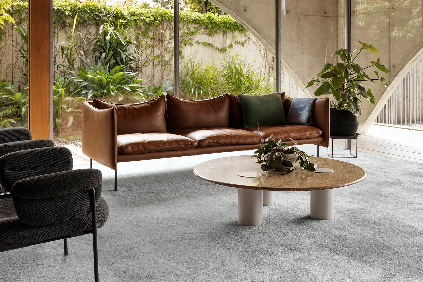 Plume carpet - Drift