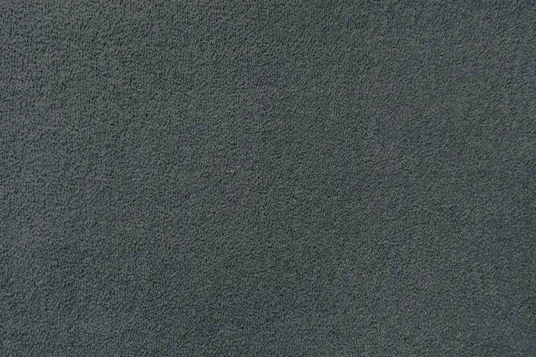 Plume carpet in Drift