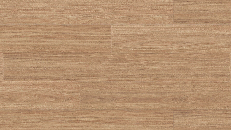 Magnitude Laminate 8mm - Inland Spotted Gum – swatch
