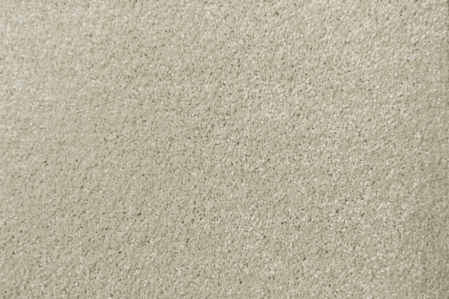 Lush carpet in Elaborate