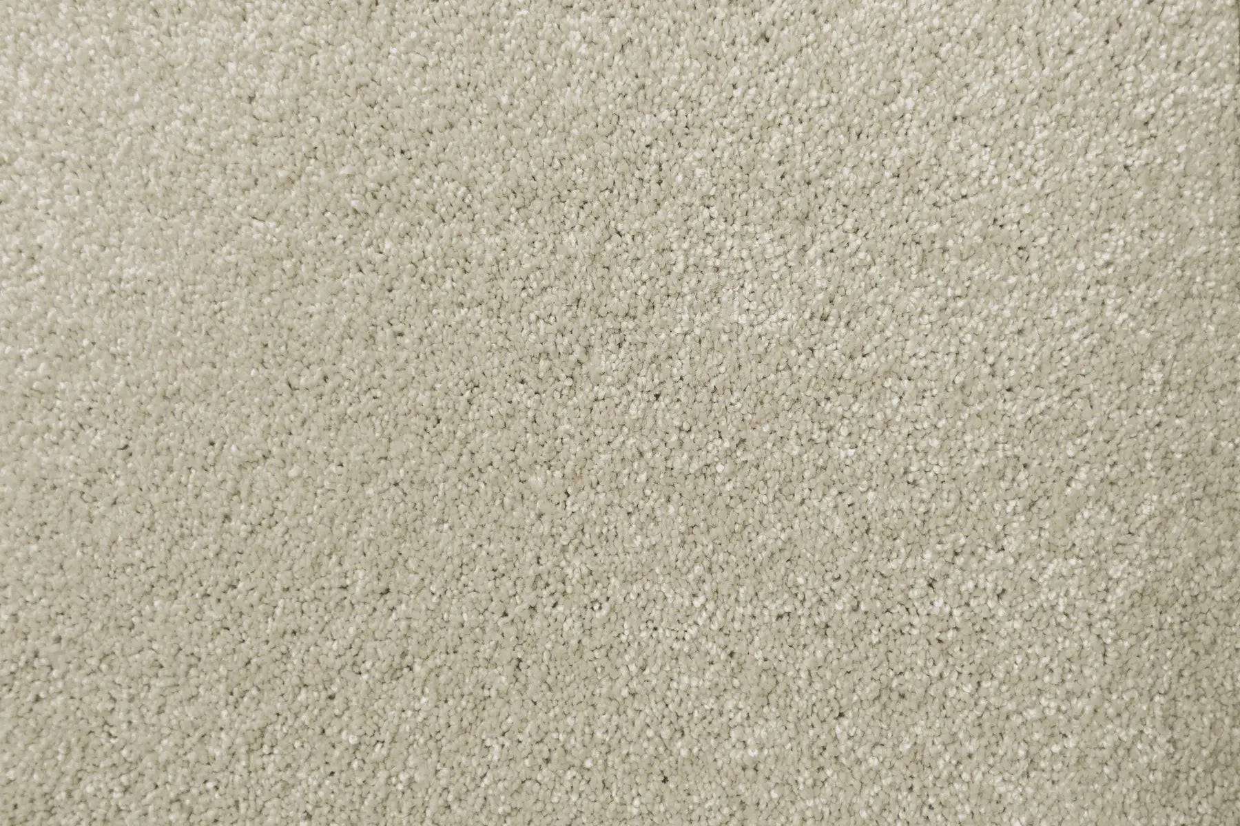 Lush carpet in Elaborate
