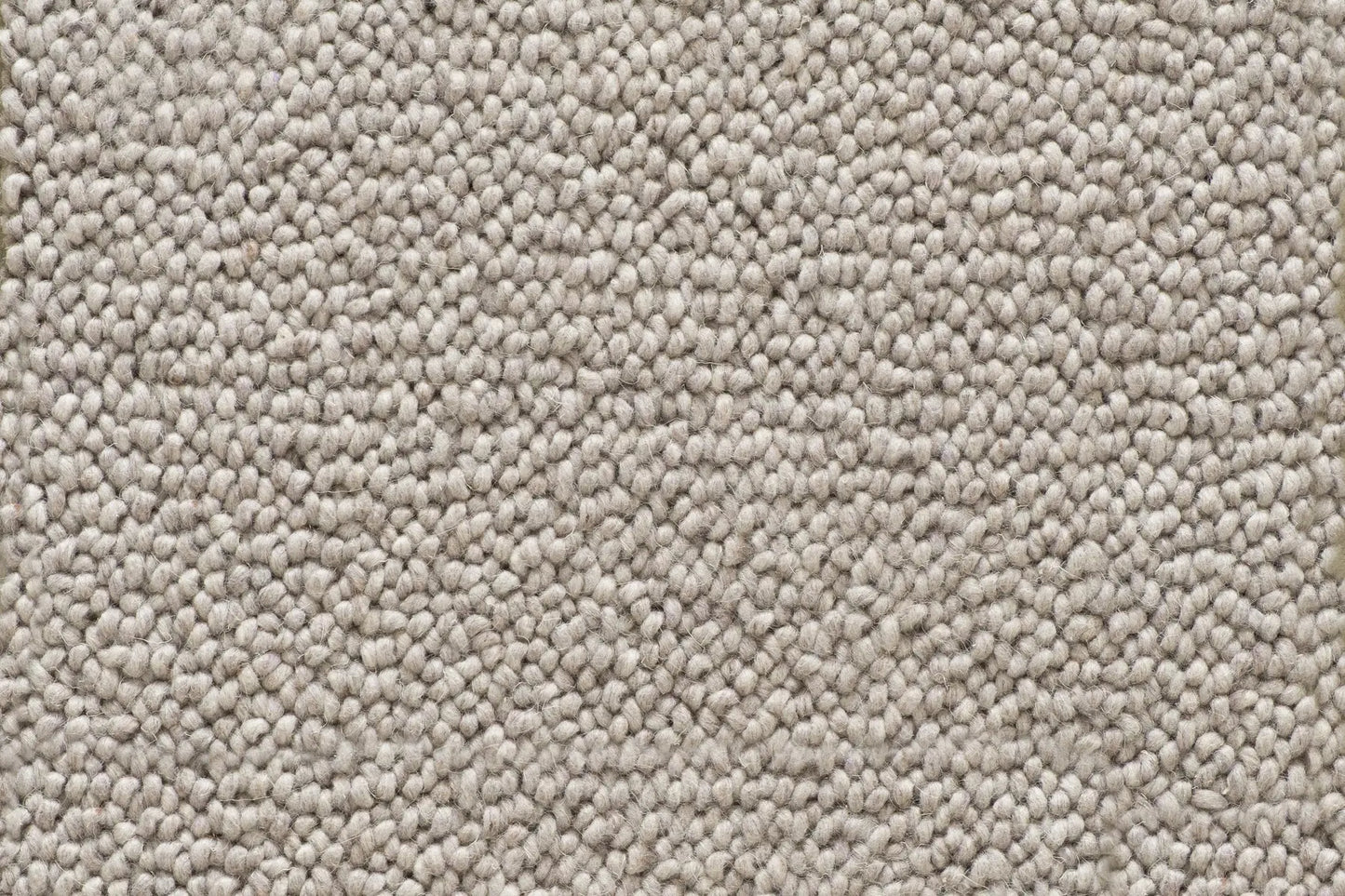 Coco carpet in Ellwood