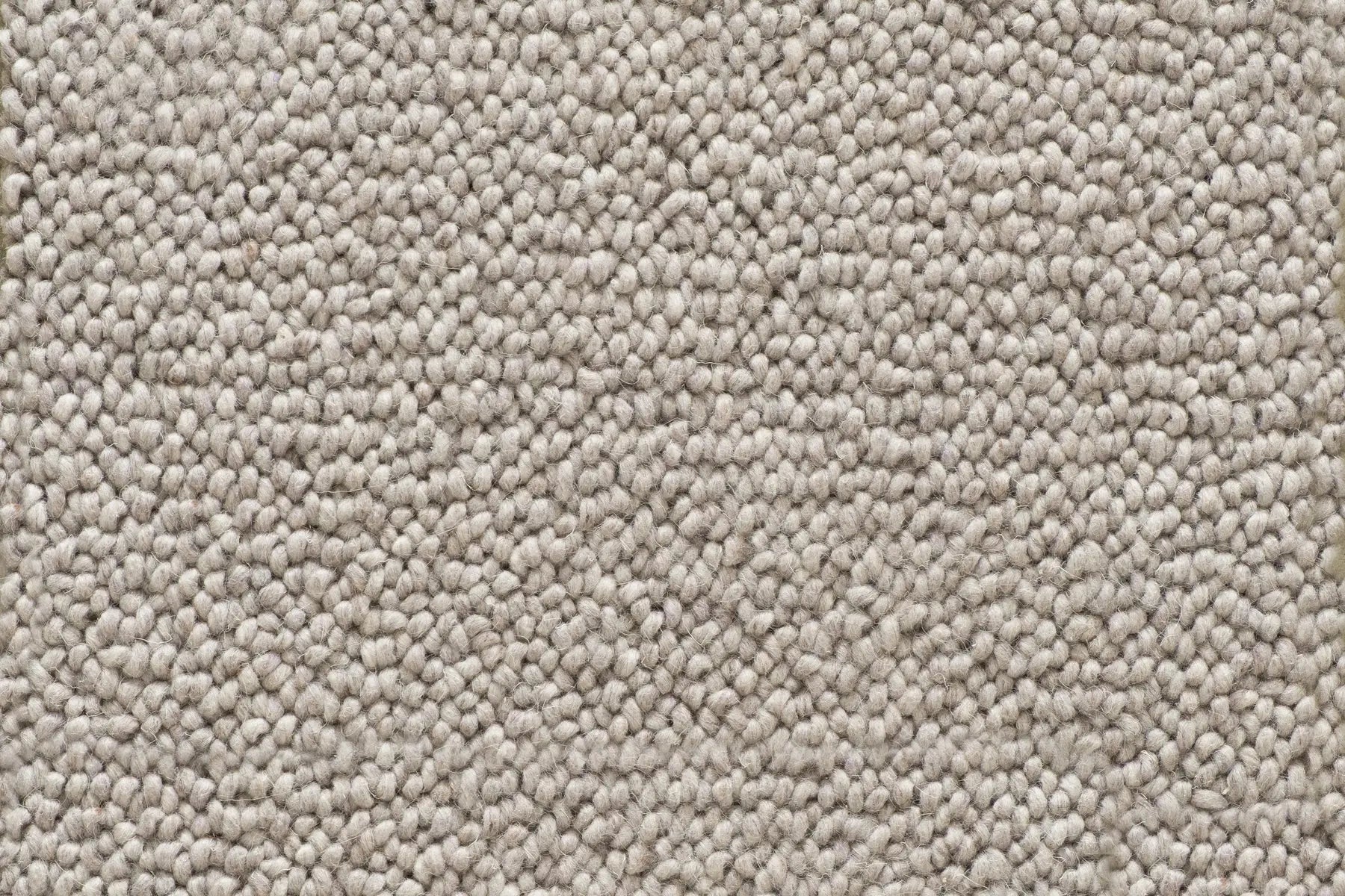 Coco carpet in Ellwood