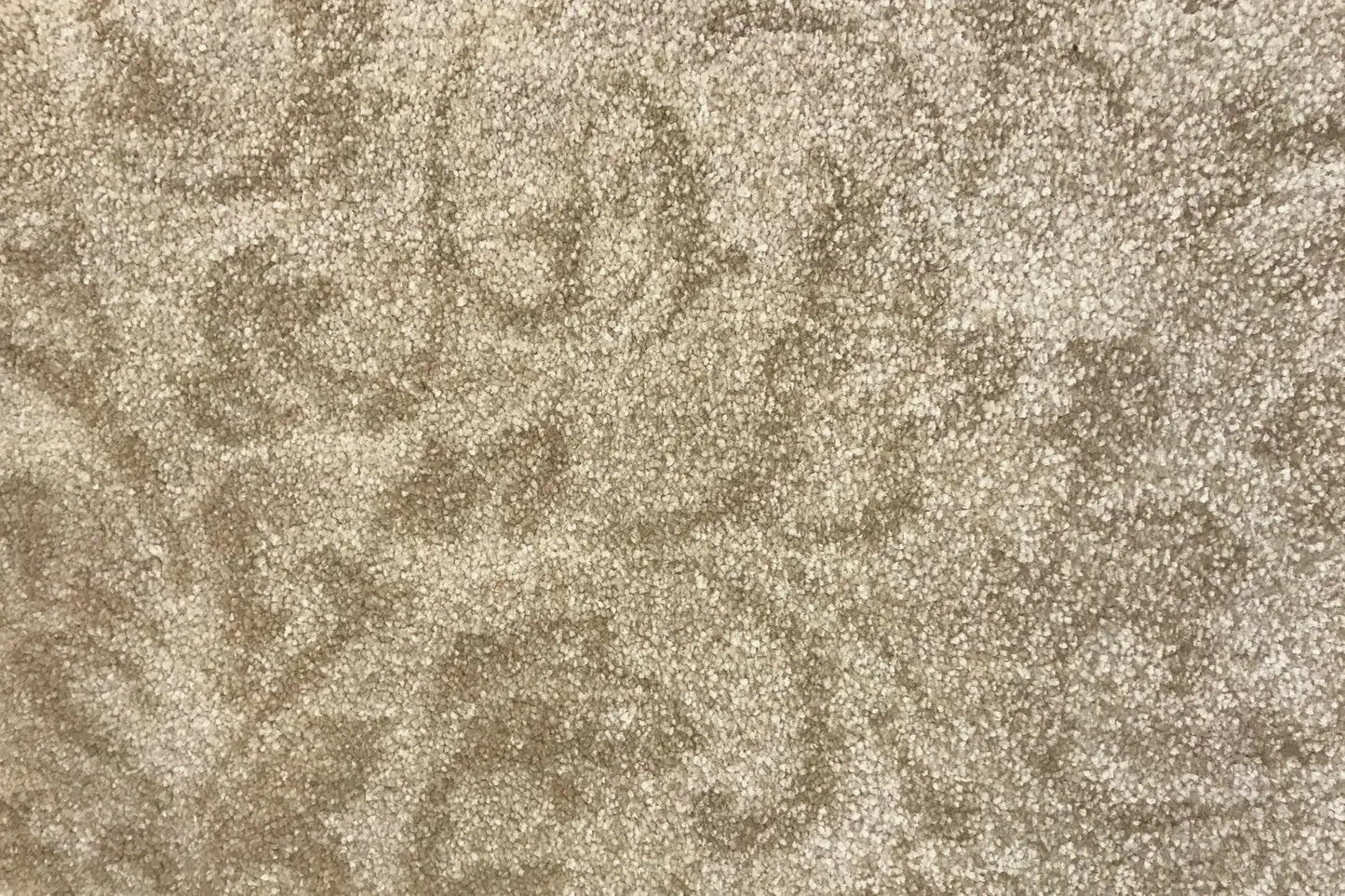 Cupid carpet in Eros