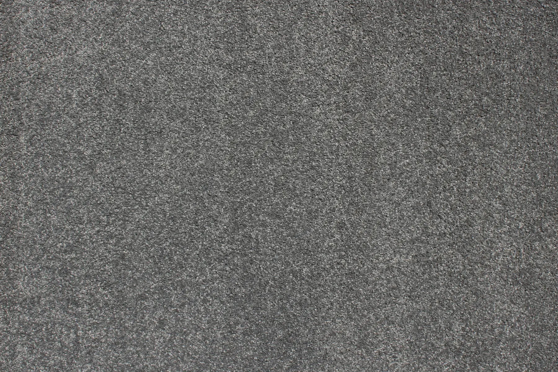 Charmeuse carpet in Figaro