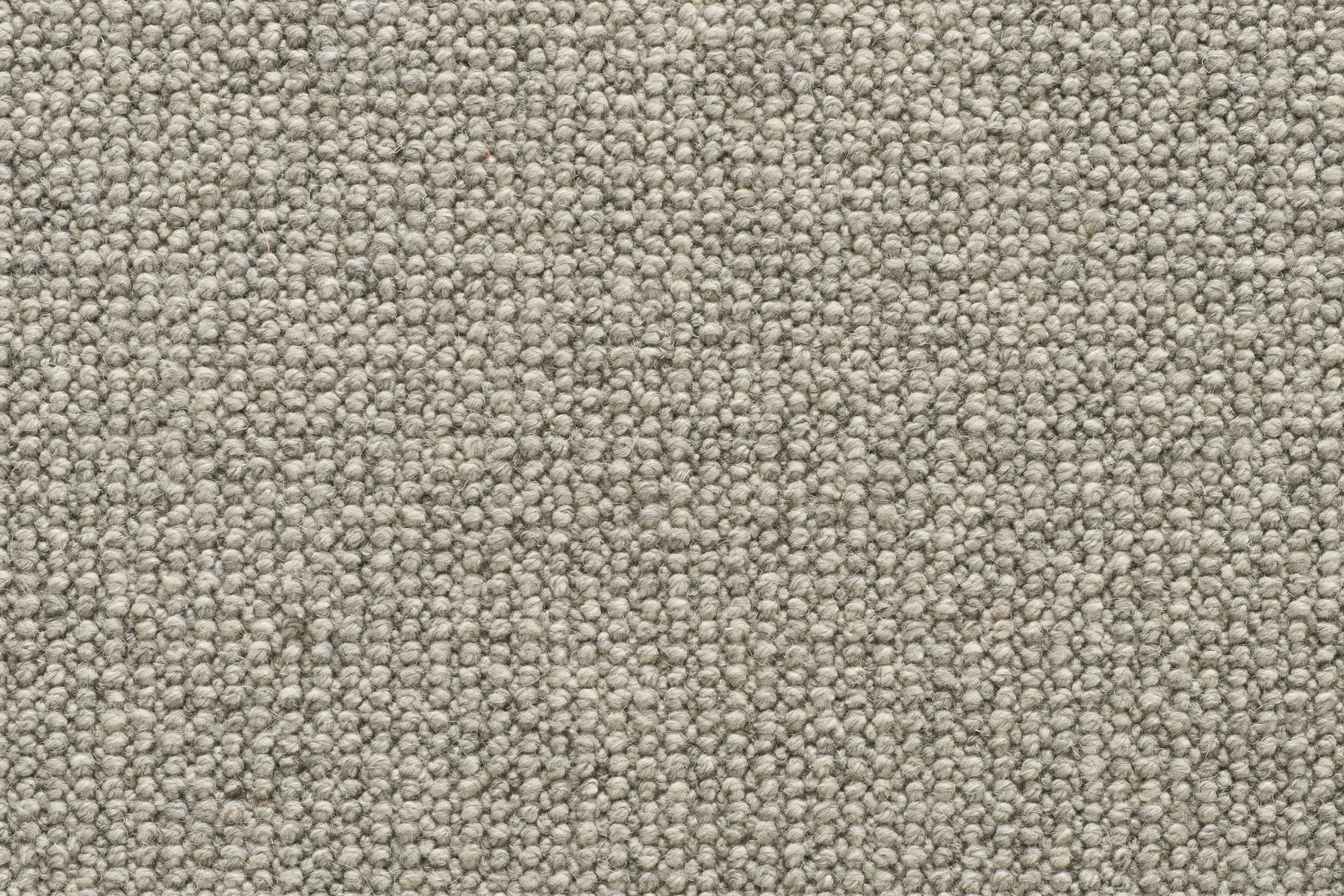 Brit carpet in Flint