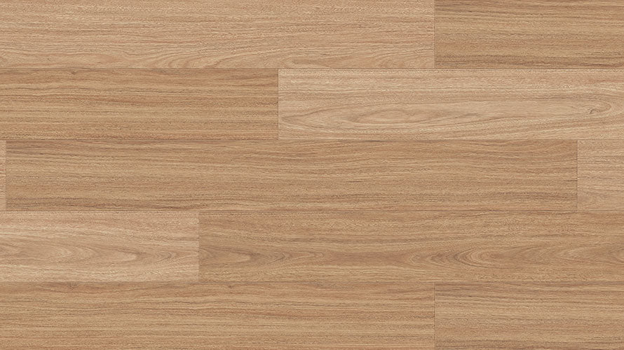 Profuse Laminate 12mm - Southern Spotted Gum – swatch