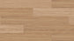 Profuse Laminate 12mm - Southern Spotted Gum – swatch
