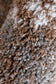 Grace Bare Elegance Rug