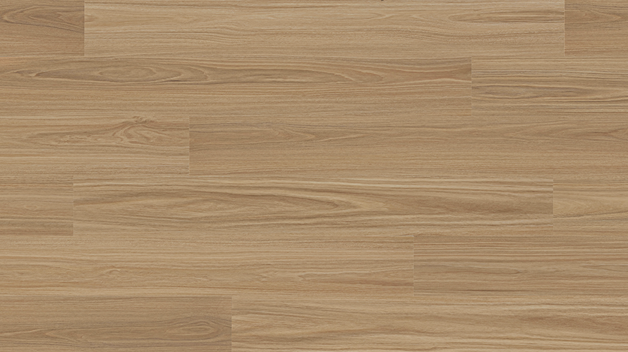 Voyager Vinyl Plank 5mm - Orion Blackbutt – swatch