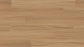 Voyager Vinyl Plank 5mm - Orion Blackbutt – swatch