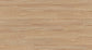 Ocean Vinyl Plank 4.5mm - Aster Field – room scene 3