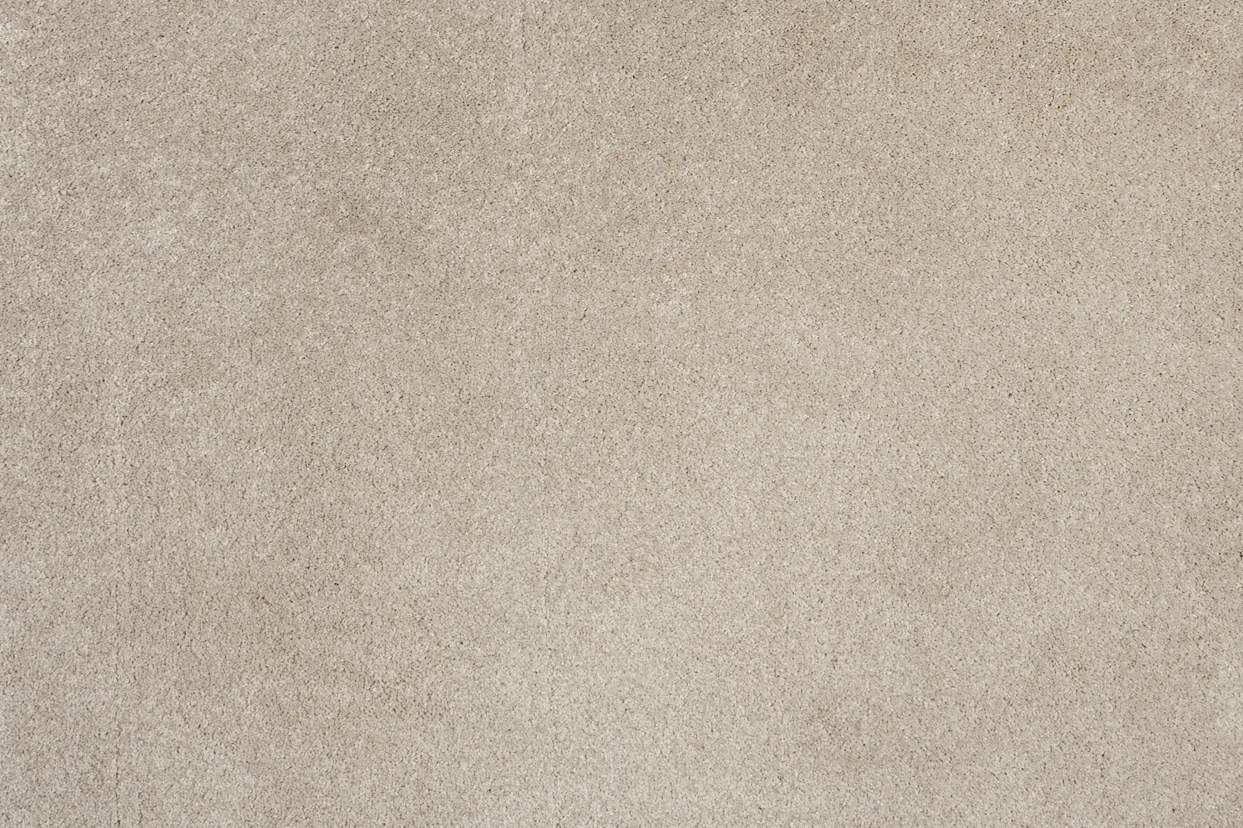 Alisa carpet in Harmony
