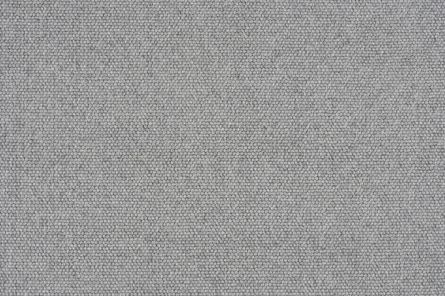 Everton carpet in Heathermist