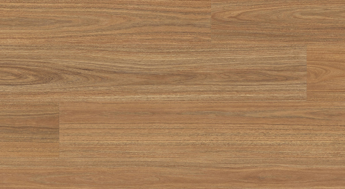 Enchanted Hybrid 7.5mm - Lorien Spotted Gum – room scene 2