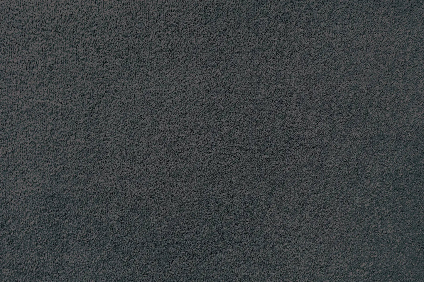 Plume carpet in Horizon