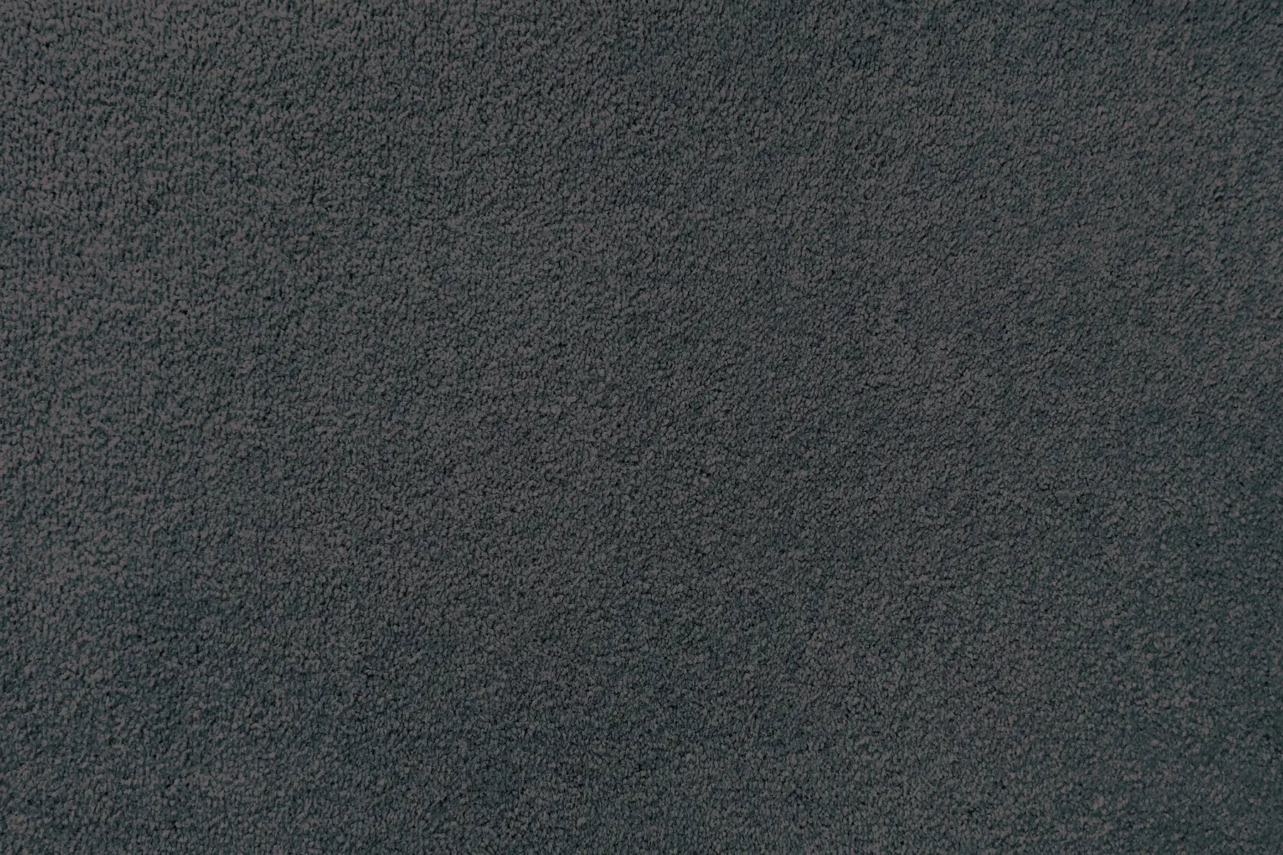 Plume carpet in Horizon