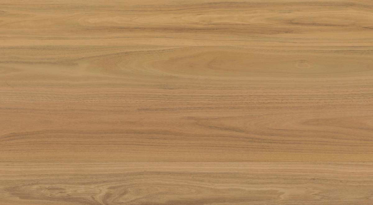 Everlast Laminate 10mm - Atlantic Blackbutt – room scene 2