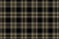 RTW Encore carpet in Kilt