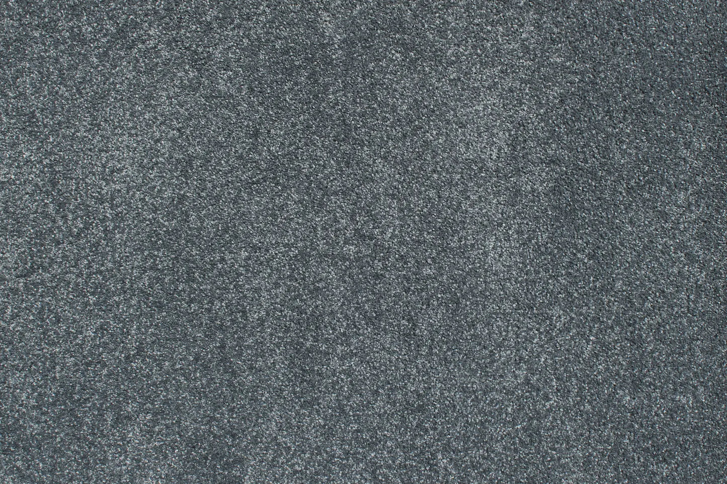 Charmeuse carpet in Largont