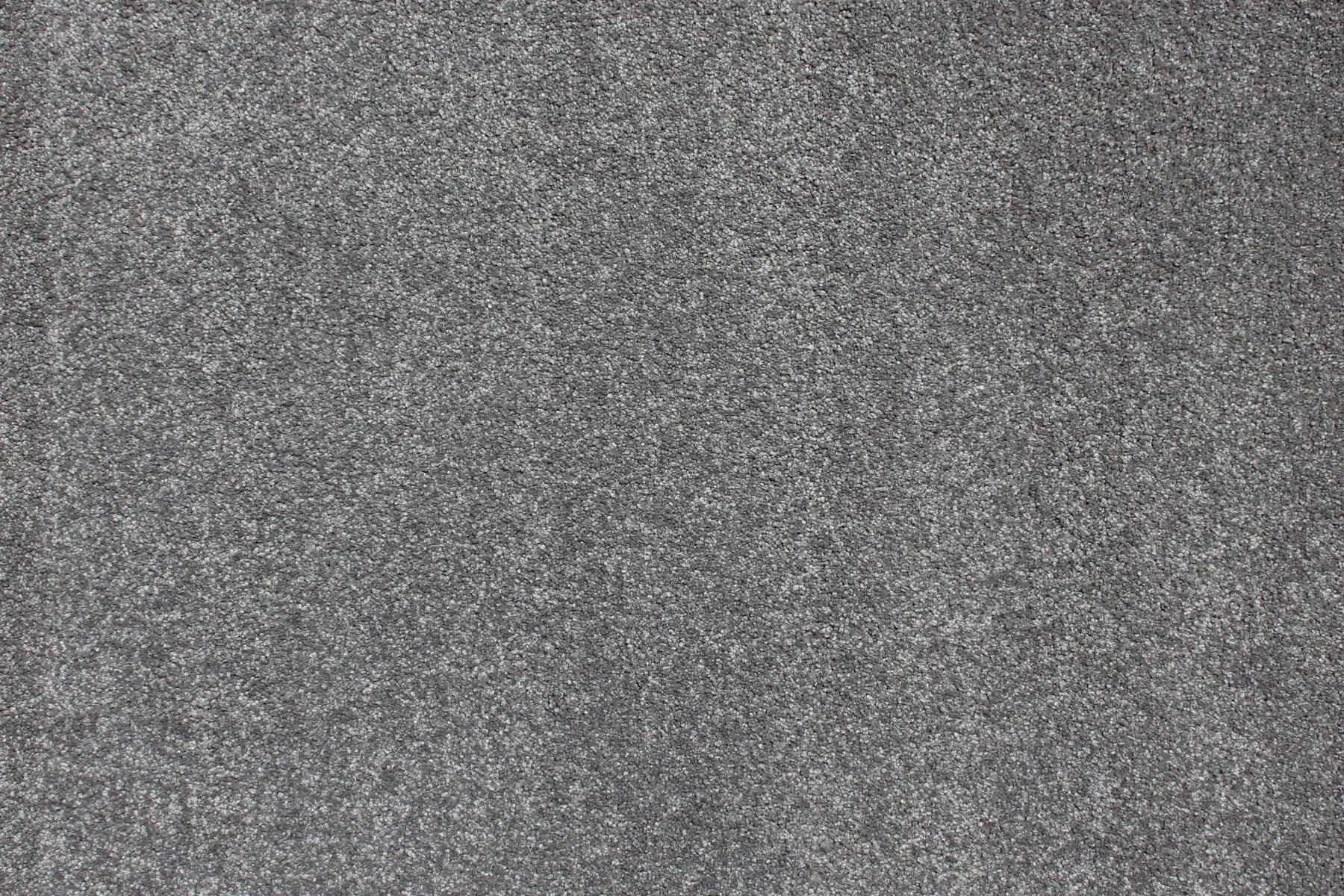 Charmeuse carpet in Latour