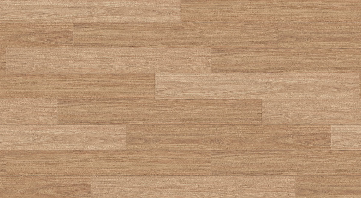Profuse Laminate 12mm - Southern Spotted Gum – room scene 2