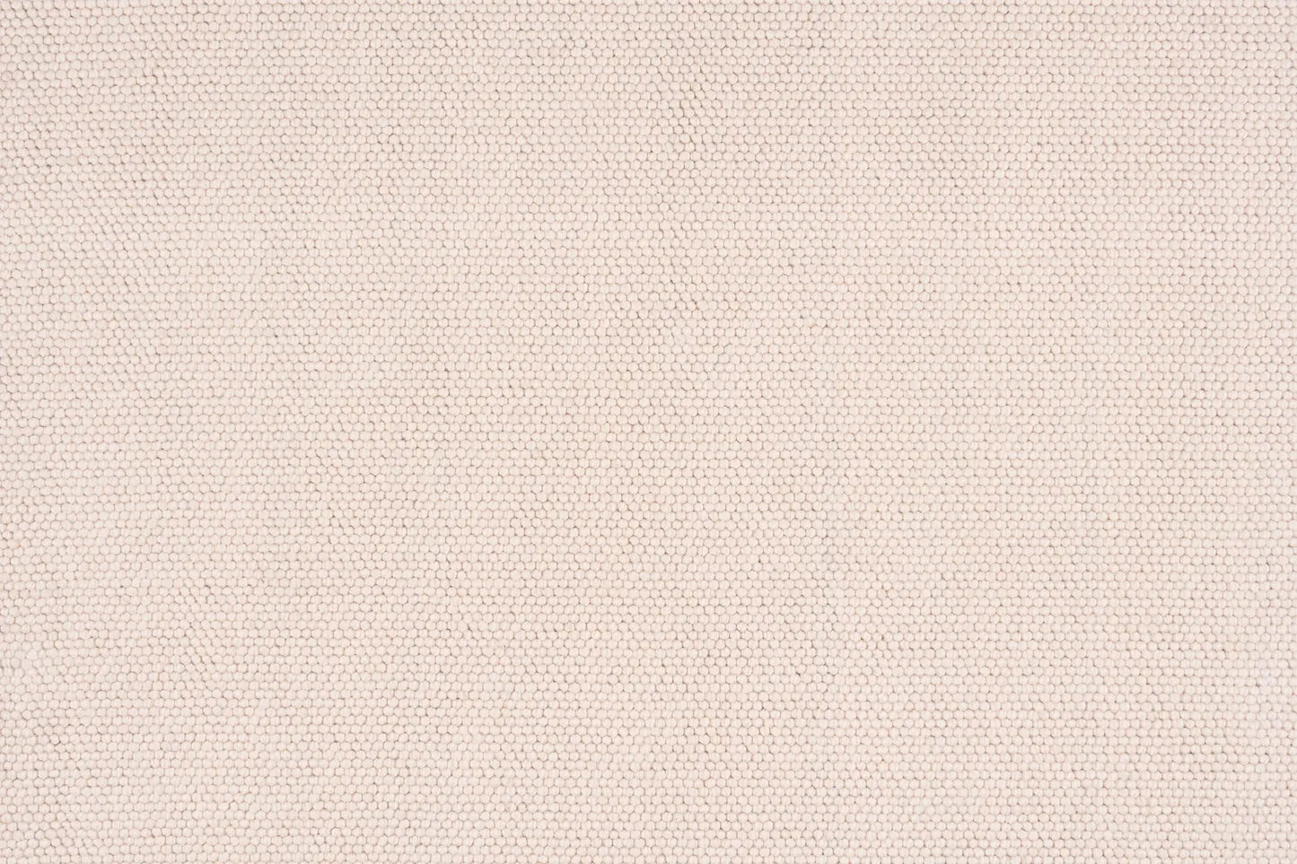 Everton carpet in Maplebark