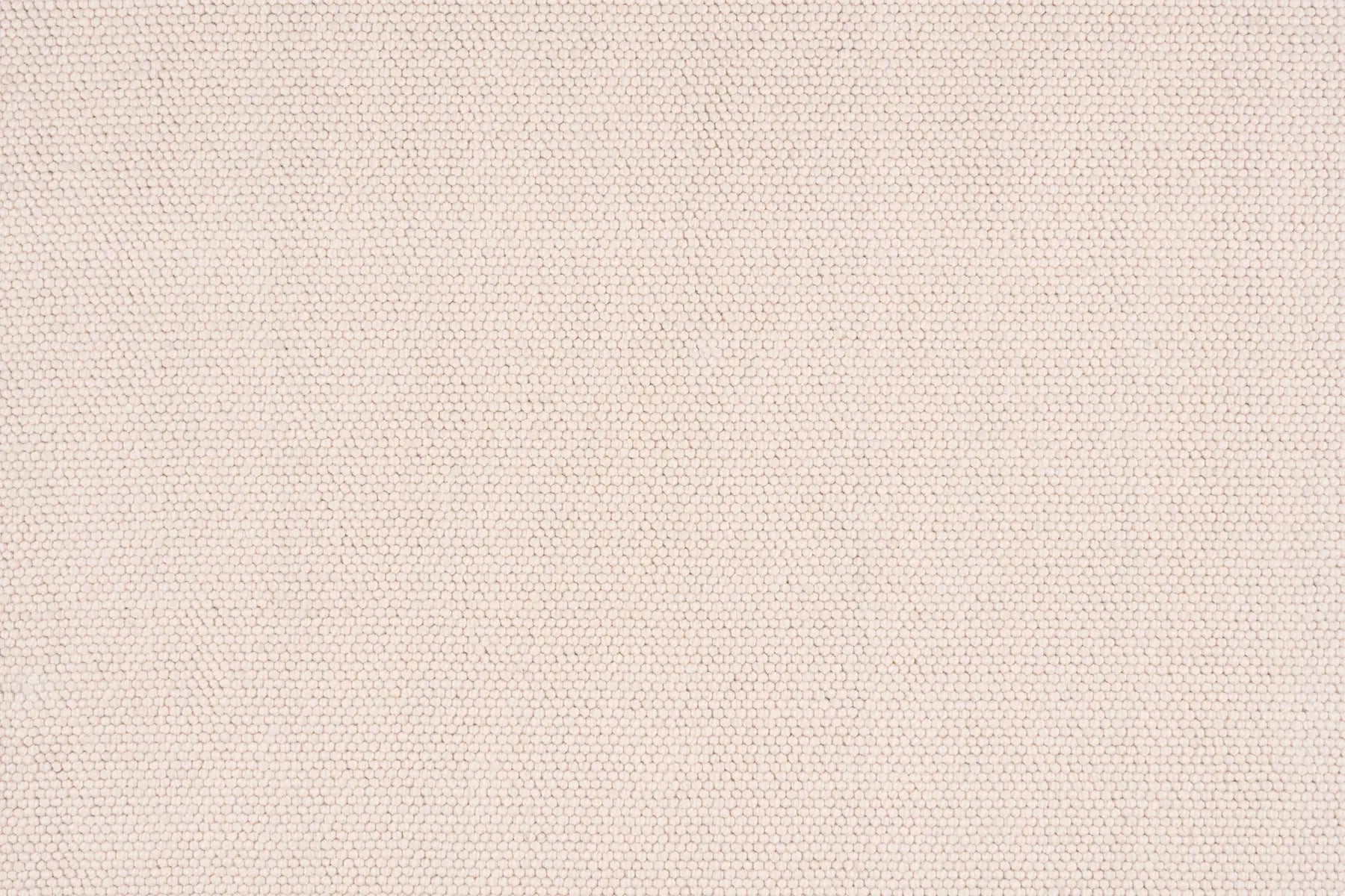 Everton carpet in Maplebark