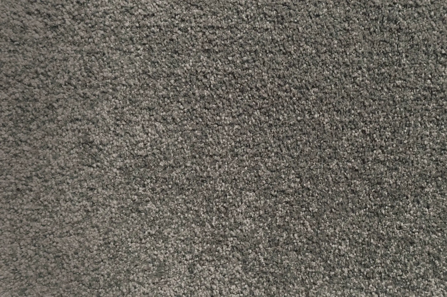 Charmeuse carpet in Mercier