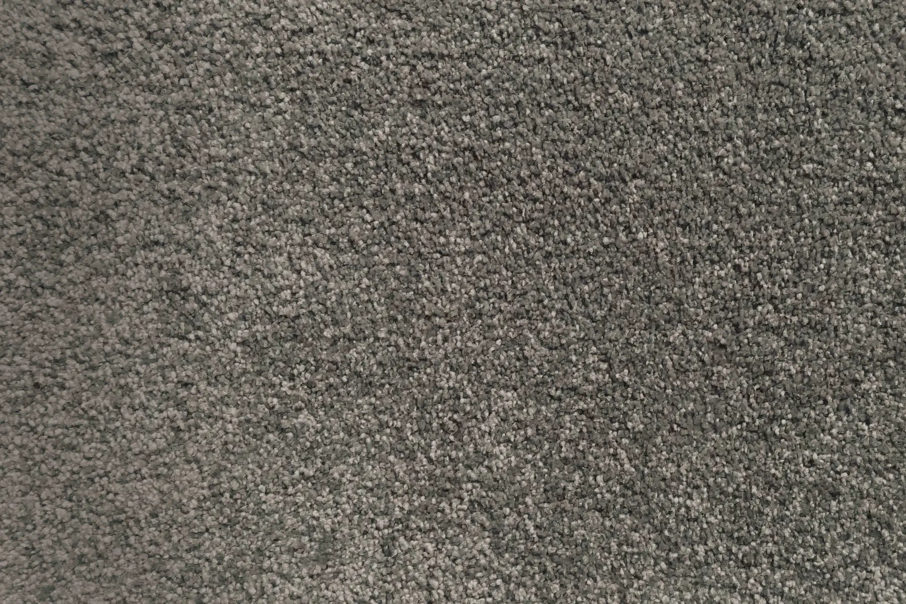 Charmeuse carpet in Mercier