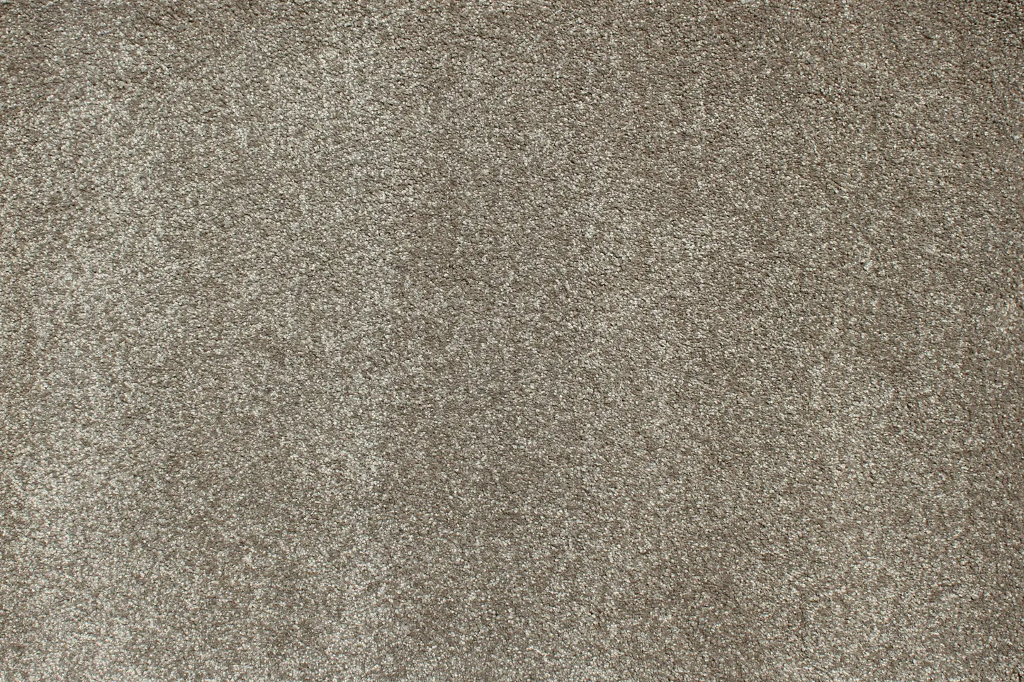 Charmeuse carpet in Milandes