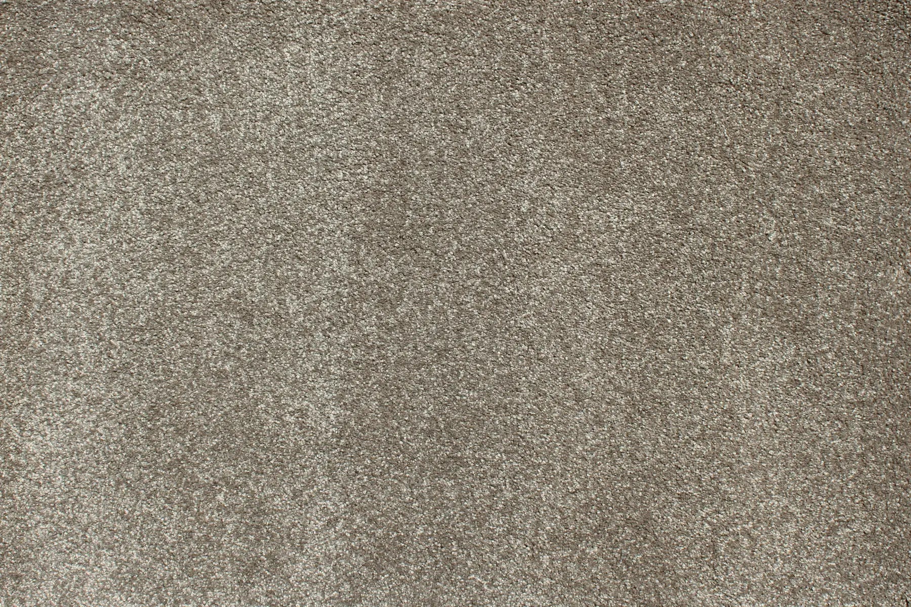 Charmeuse carpet in Milandes