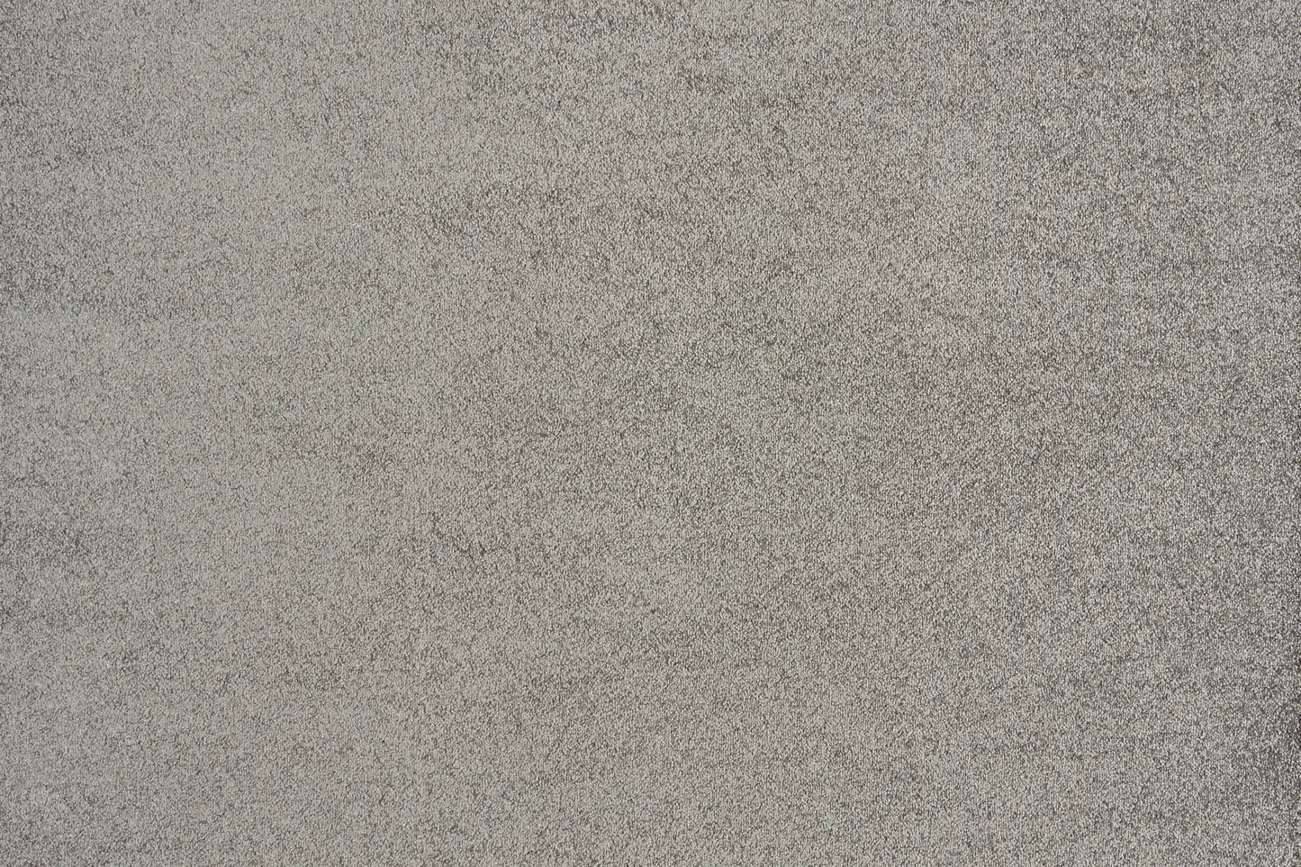 Melody carpet in Miller