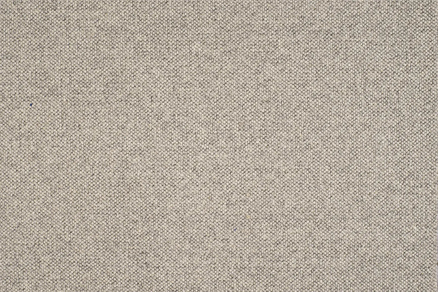 Jaro carpet in Monte