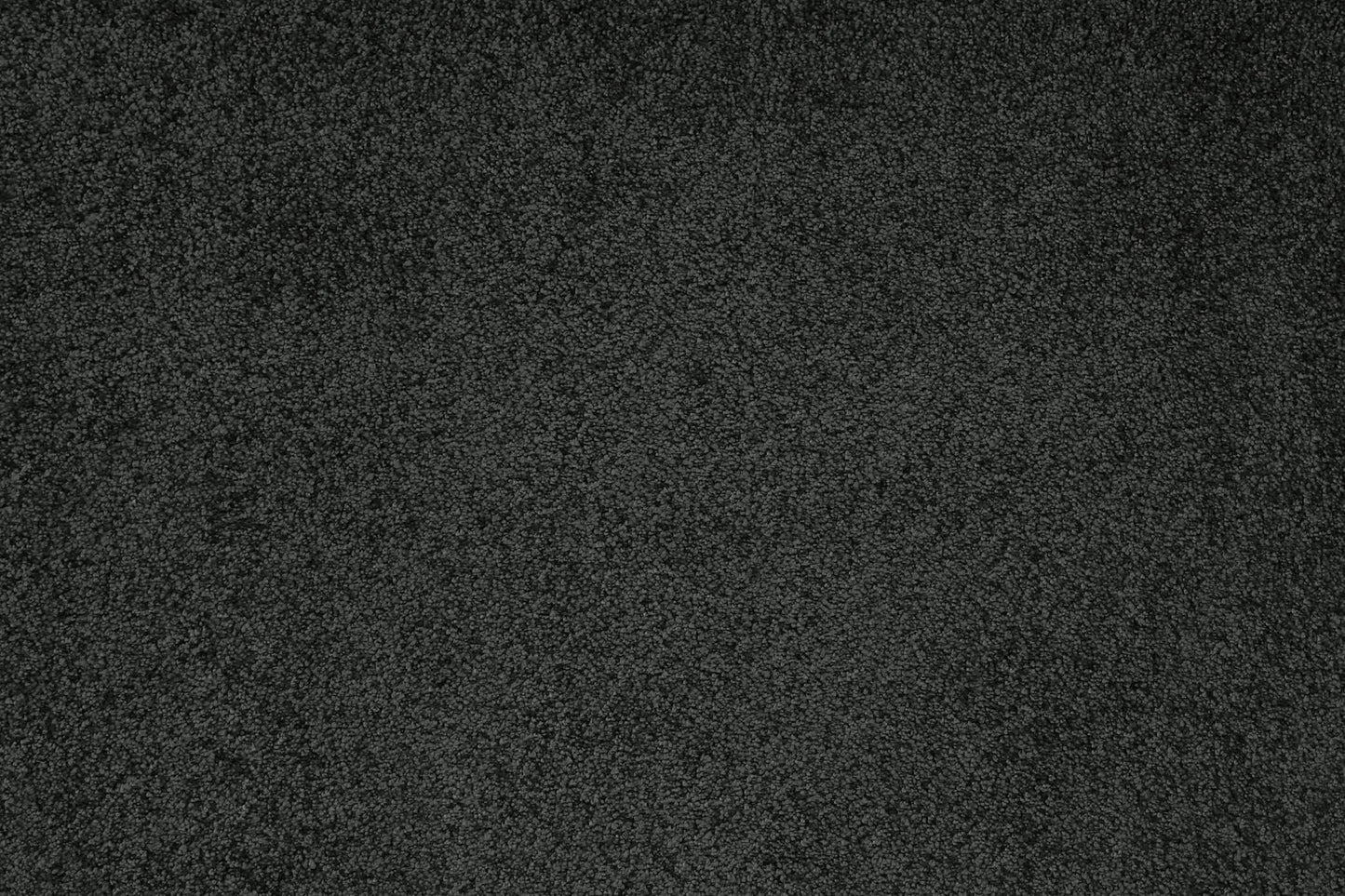 Sensation carpet in Moxie