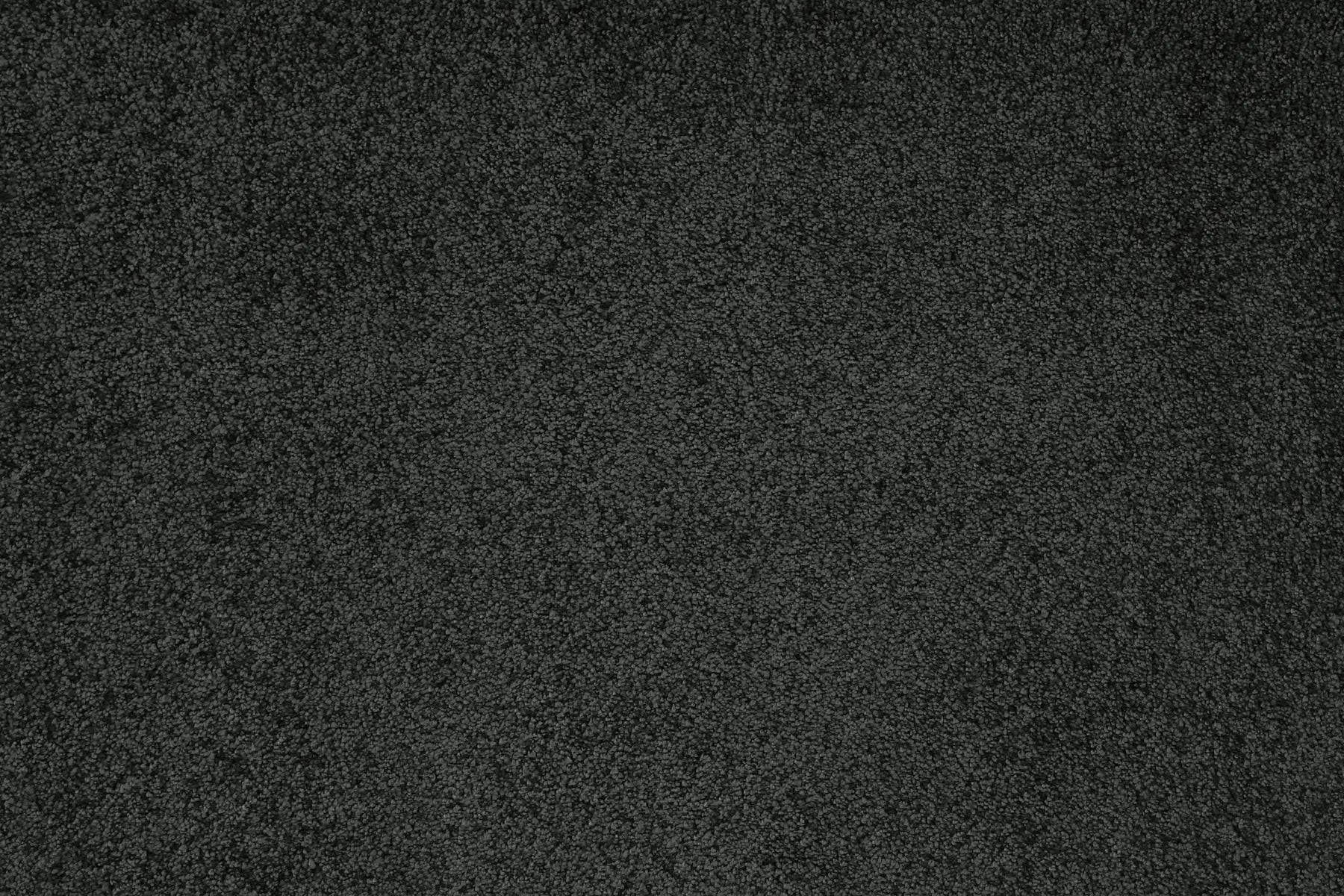 Sensation carpet in Moxie