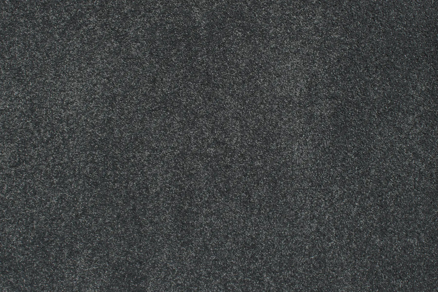 Charmeuse carpet in Muette