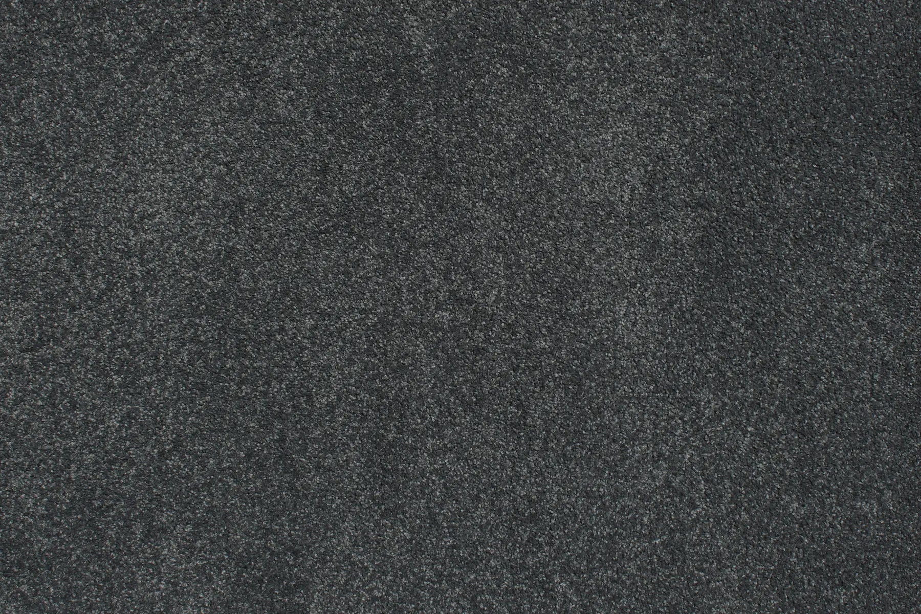 Charmeuse carpet in Muette