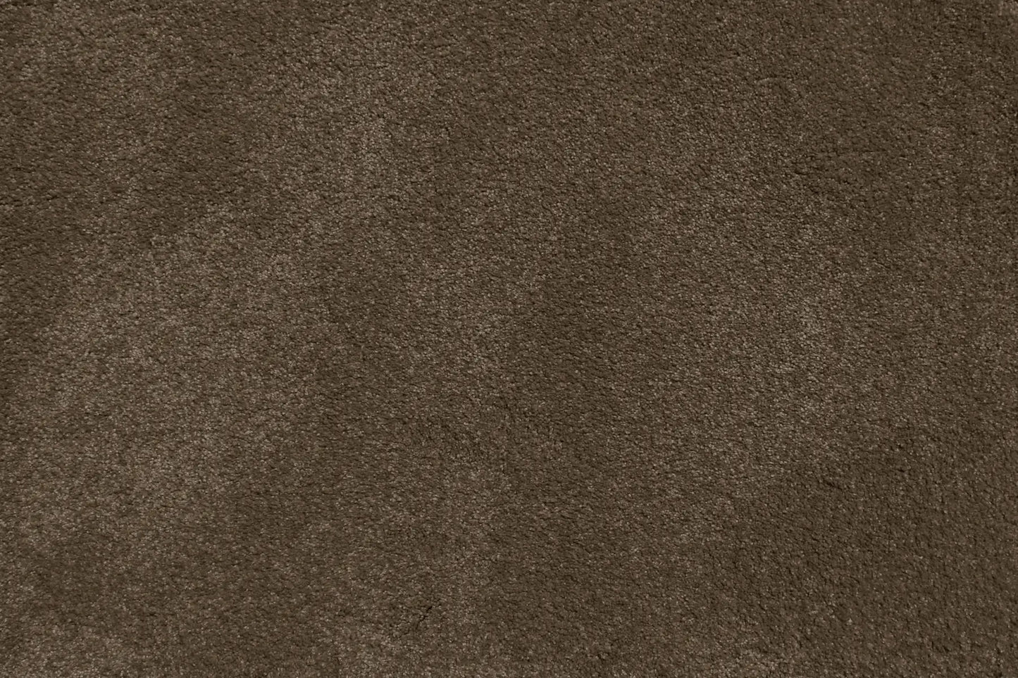 Duchesse carpet in Murat